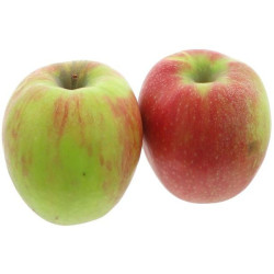 POMME ELSTAR 100PCS KG